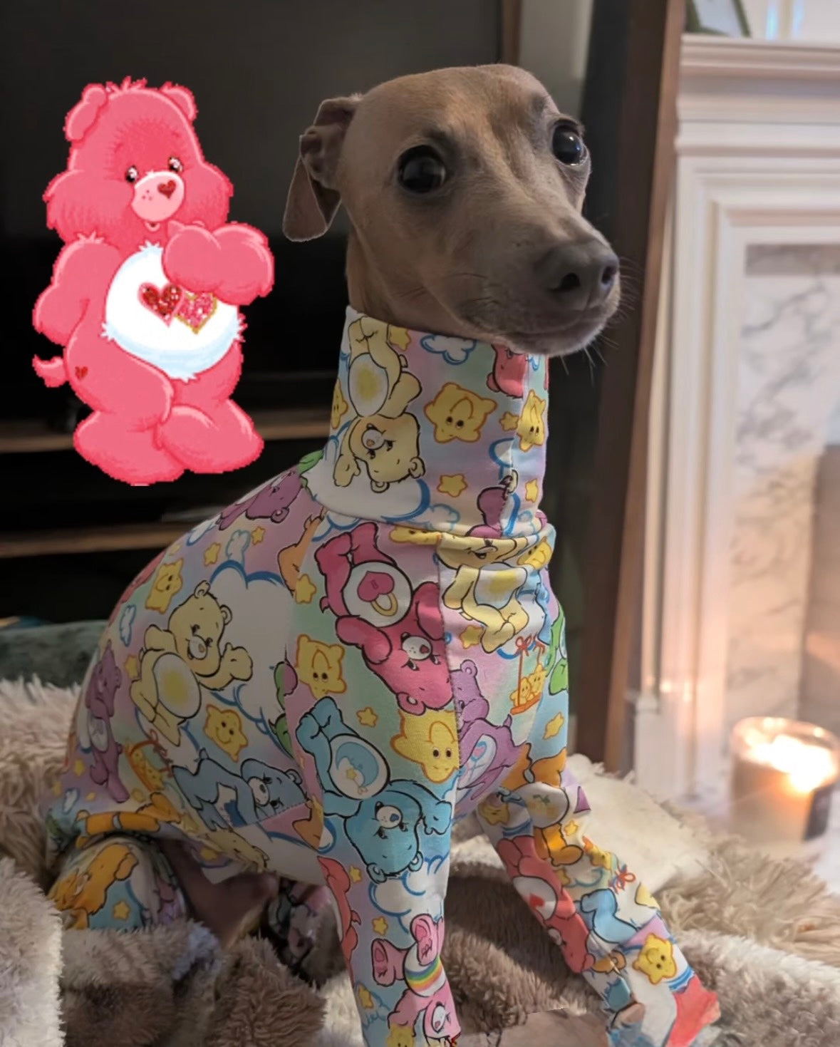 Jersey Suit - Care Bears