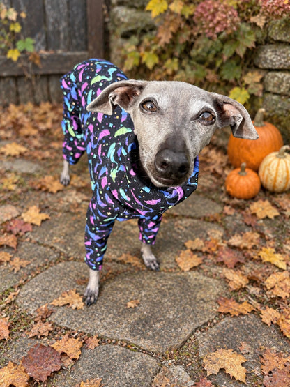 Jersey Suit - Halloween - Flapping About