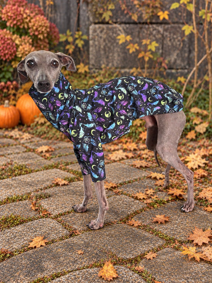Jersey T-Shirt - Halloween - Bat Mischief