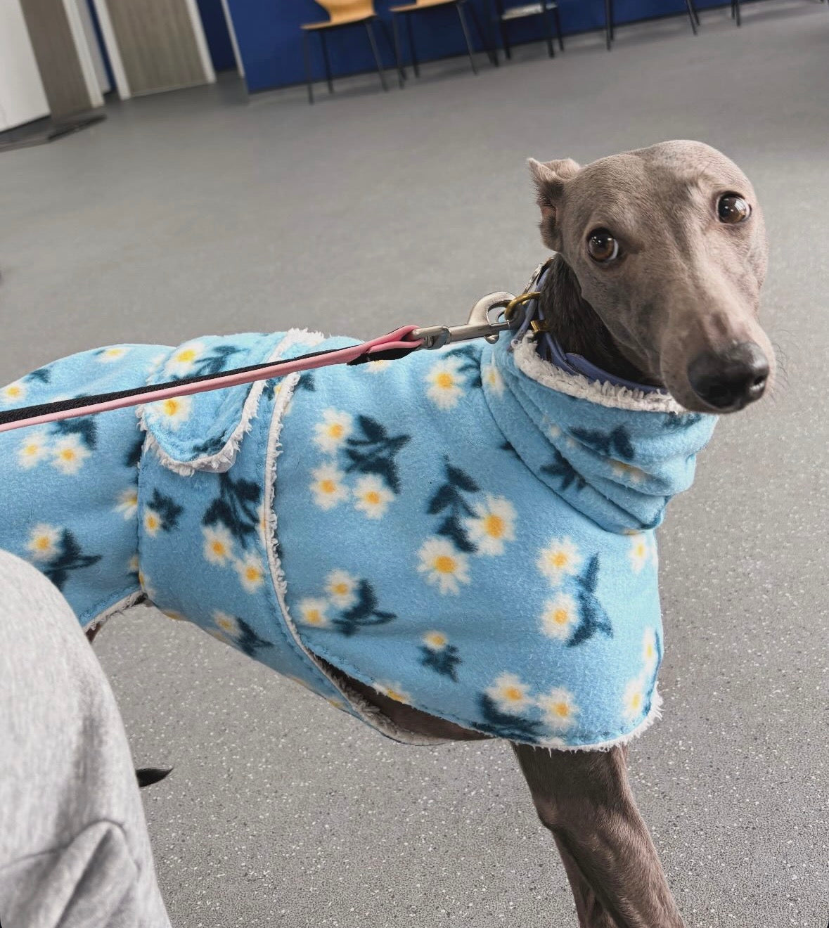 Dressing Gown - Blue Daisys