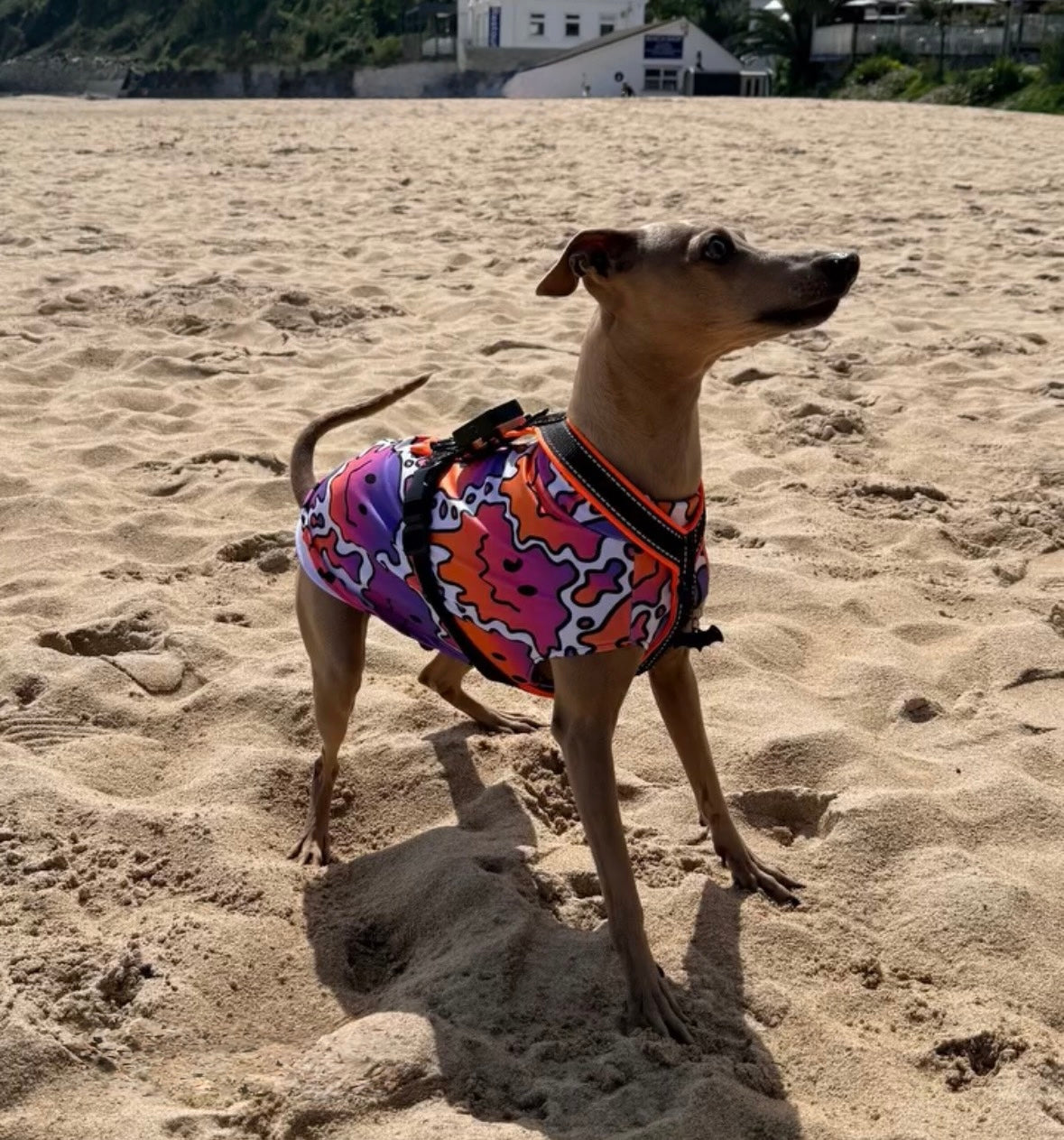Scuba Jersey Vest - Acid Smileys