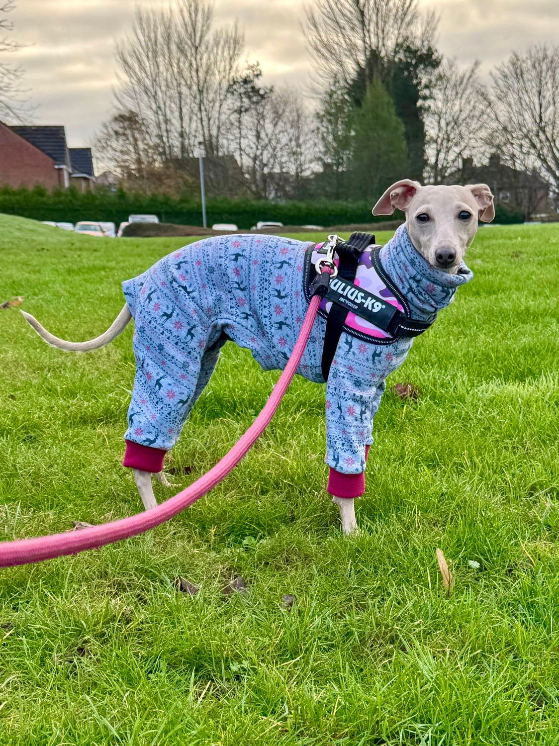 Christmas Fleece Lined Sweatshirt - Fair Isle Reindeers