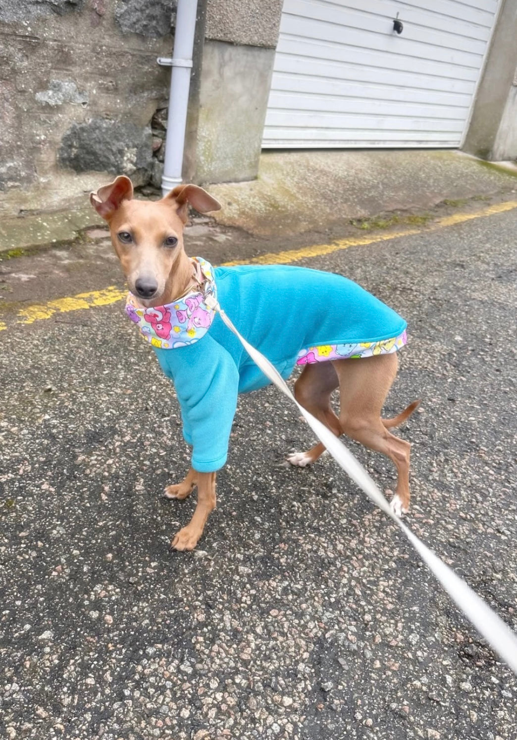 Sherpa Lined Fleece Jumper - Care Bear Blue