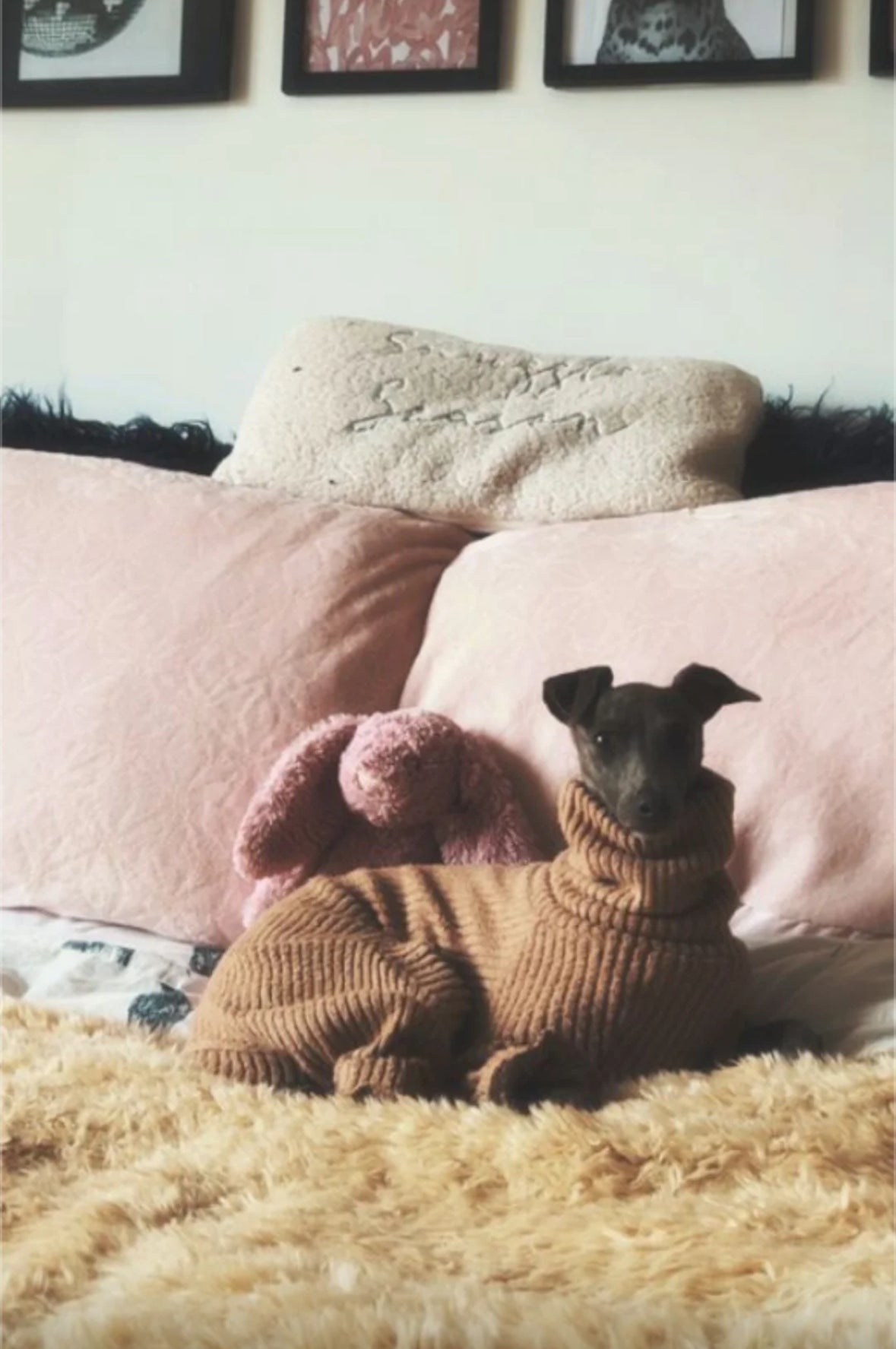 Ribbed Jersey Suit - Bottle Green