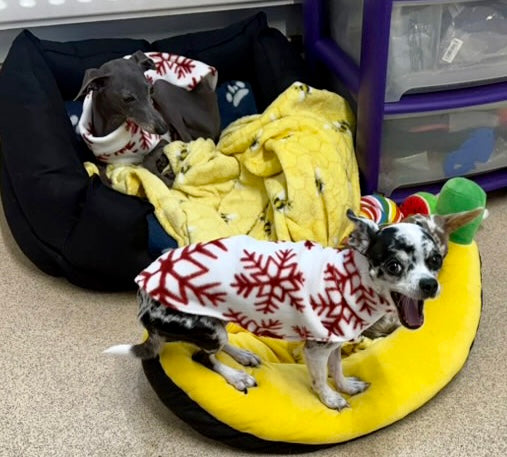 Fleece Vest - Let It Snow