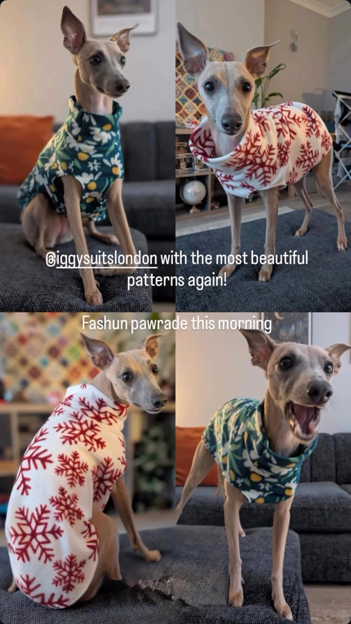 Fleece Vest - Let It Snow