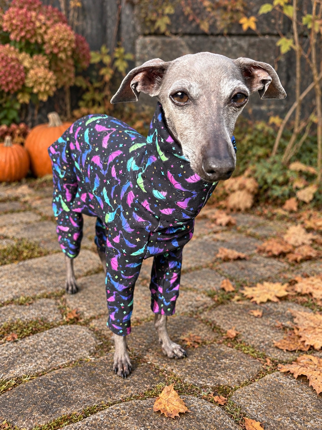 Jersey Suit - Halloween - Flapping About