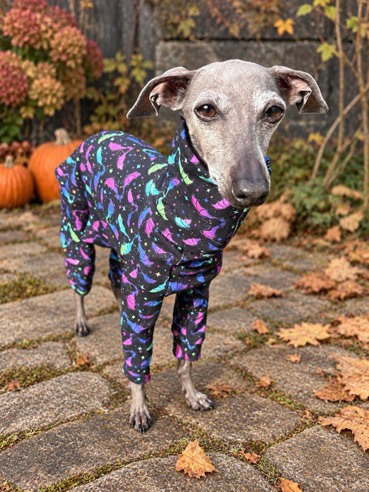 Jersey Suit - Halloween - Flapping About