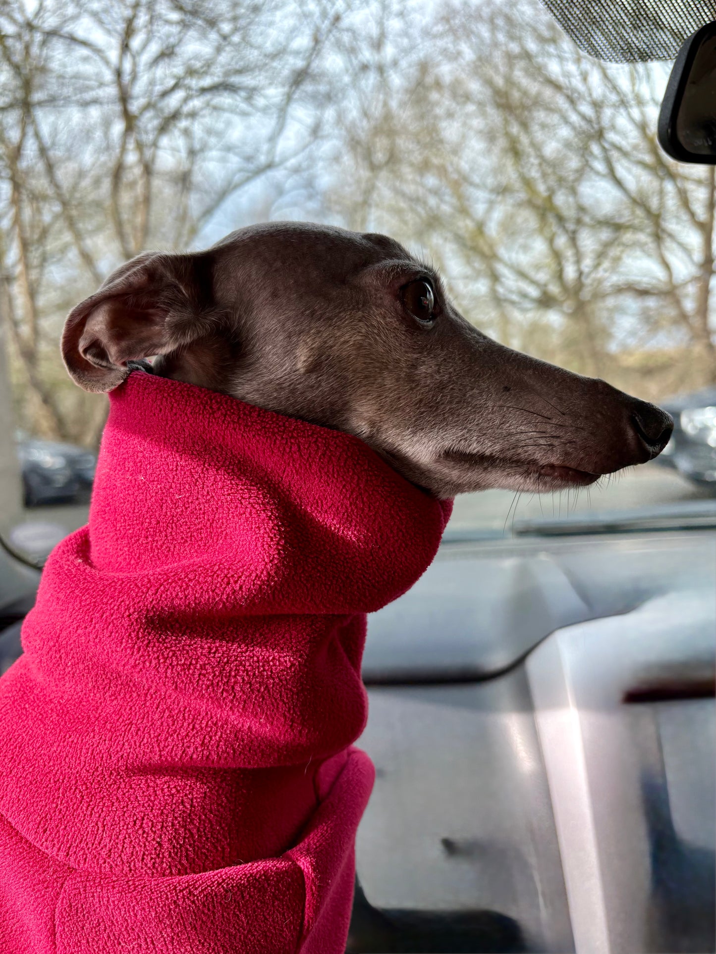 Ultra-Stretch Fleece Suit - Red