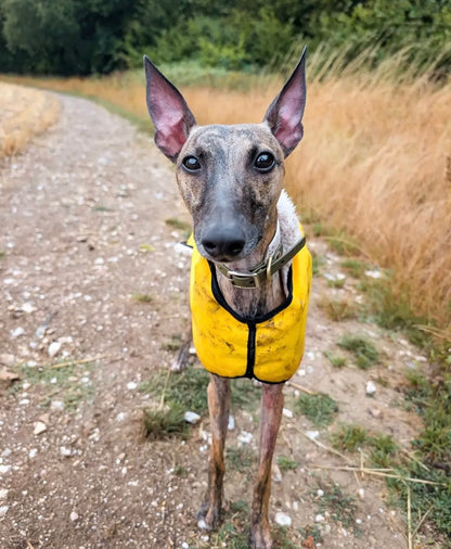 Waterproof Rain Mac - Yellow
