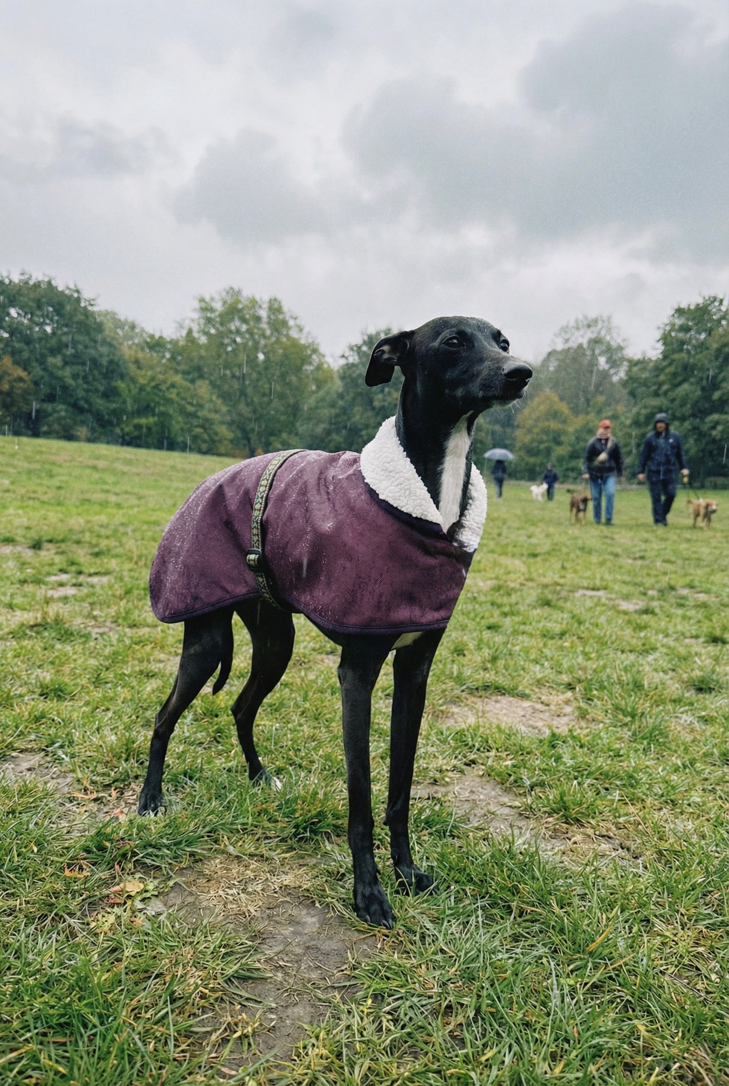 Waterproof Rain Mac - Burgundy