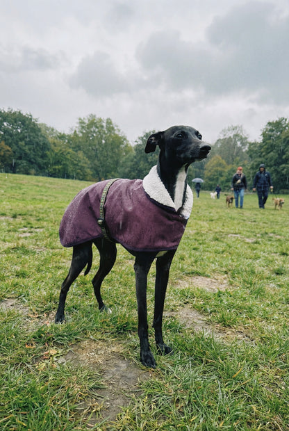 Waterproof Rain Mac - Burgundy