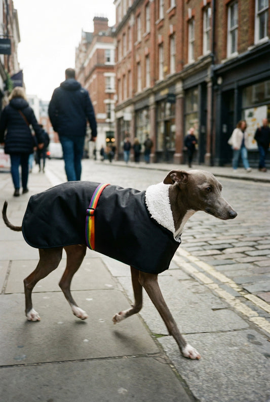 Waterproof Rain Mac - Black & Rainbow