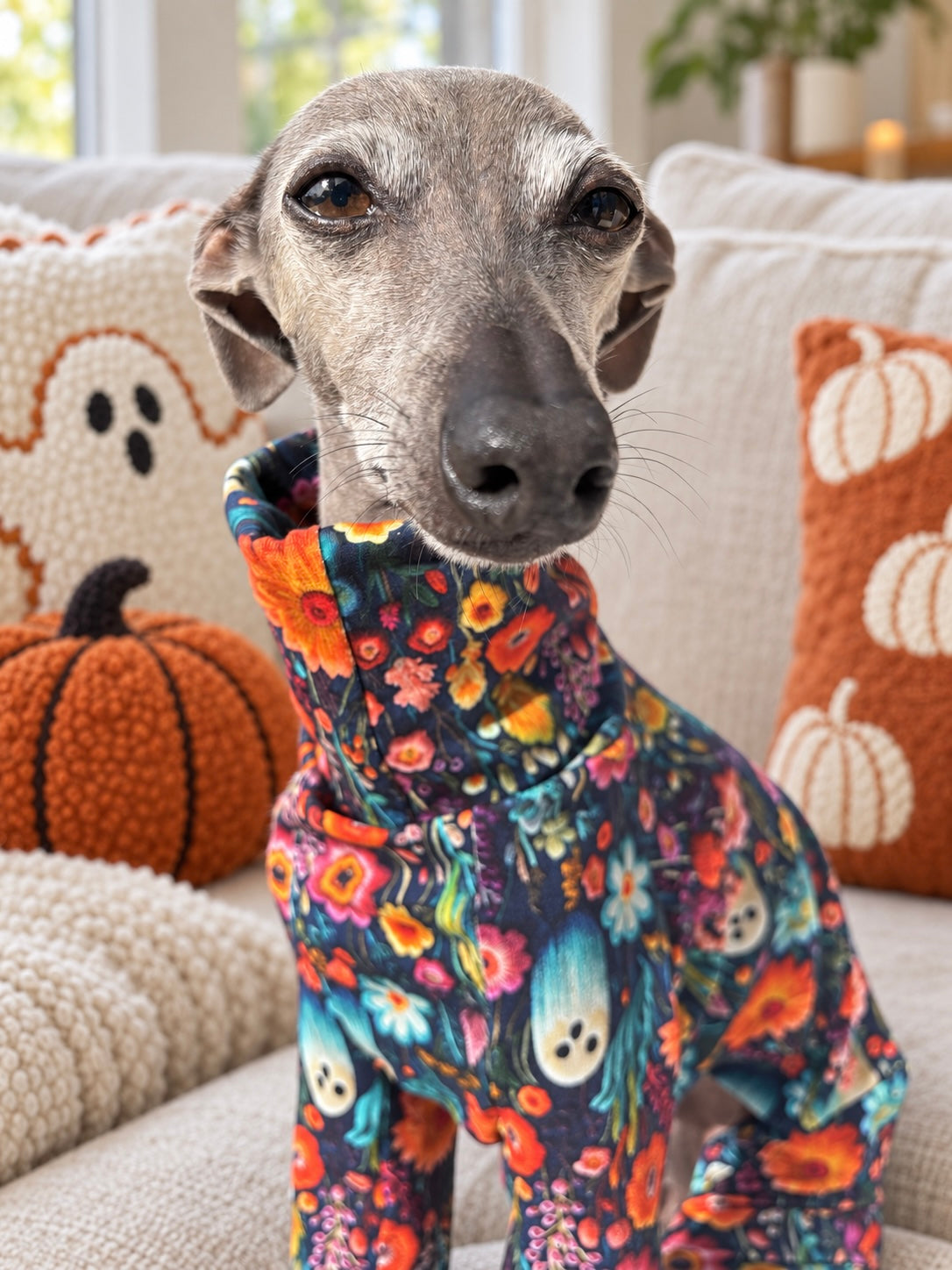 Jersey Suit - Halloween - Ghostly Meadows