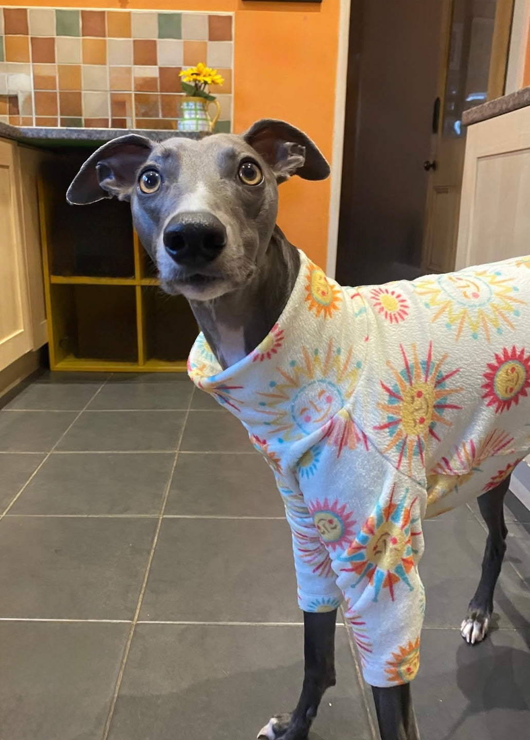 Fleece Jumper - Shine On