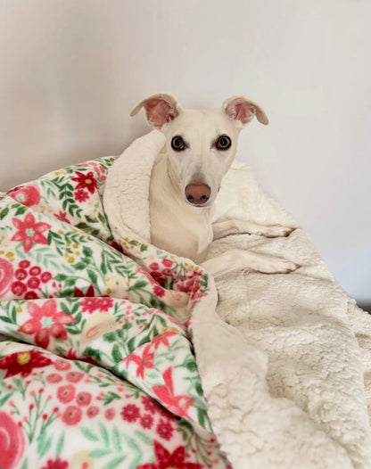 Snuggle Sack - Cream Check