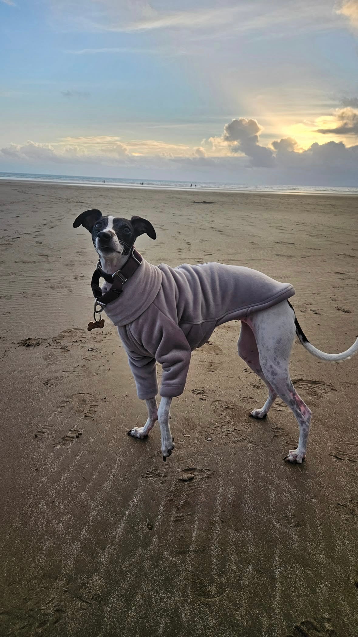 Sherpa Lined Fleece Jumper - Mink