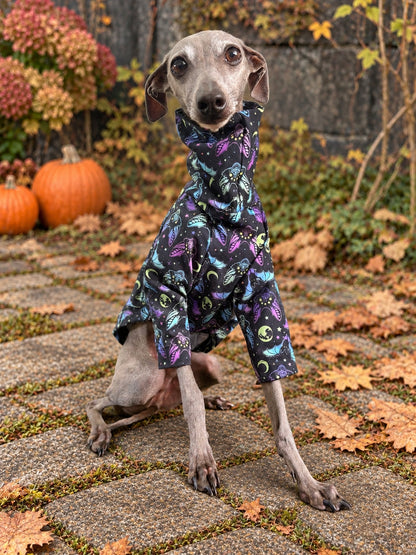Jersey T-Shirt - Halloween - Bat Mischief