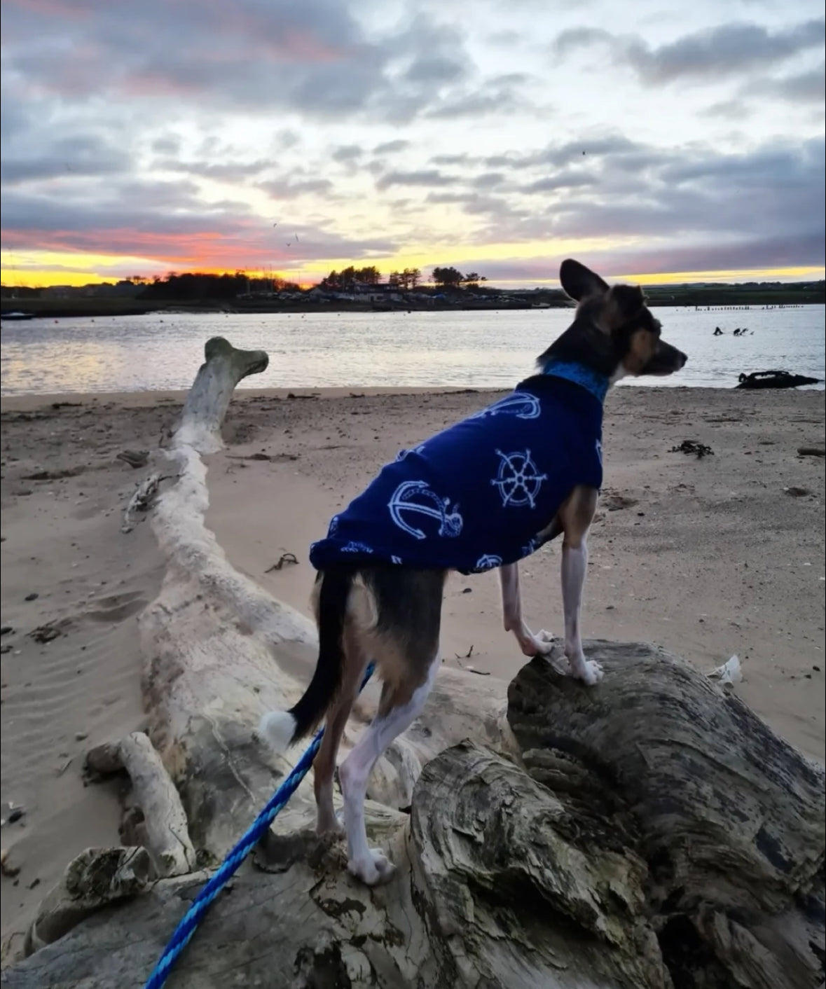 Lightweight Fleece Vest - Anchors Ahoy
