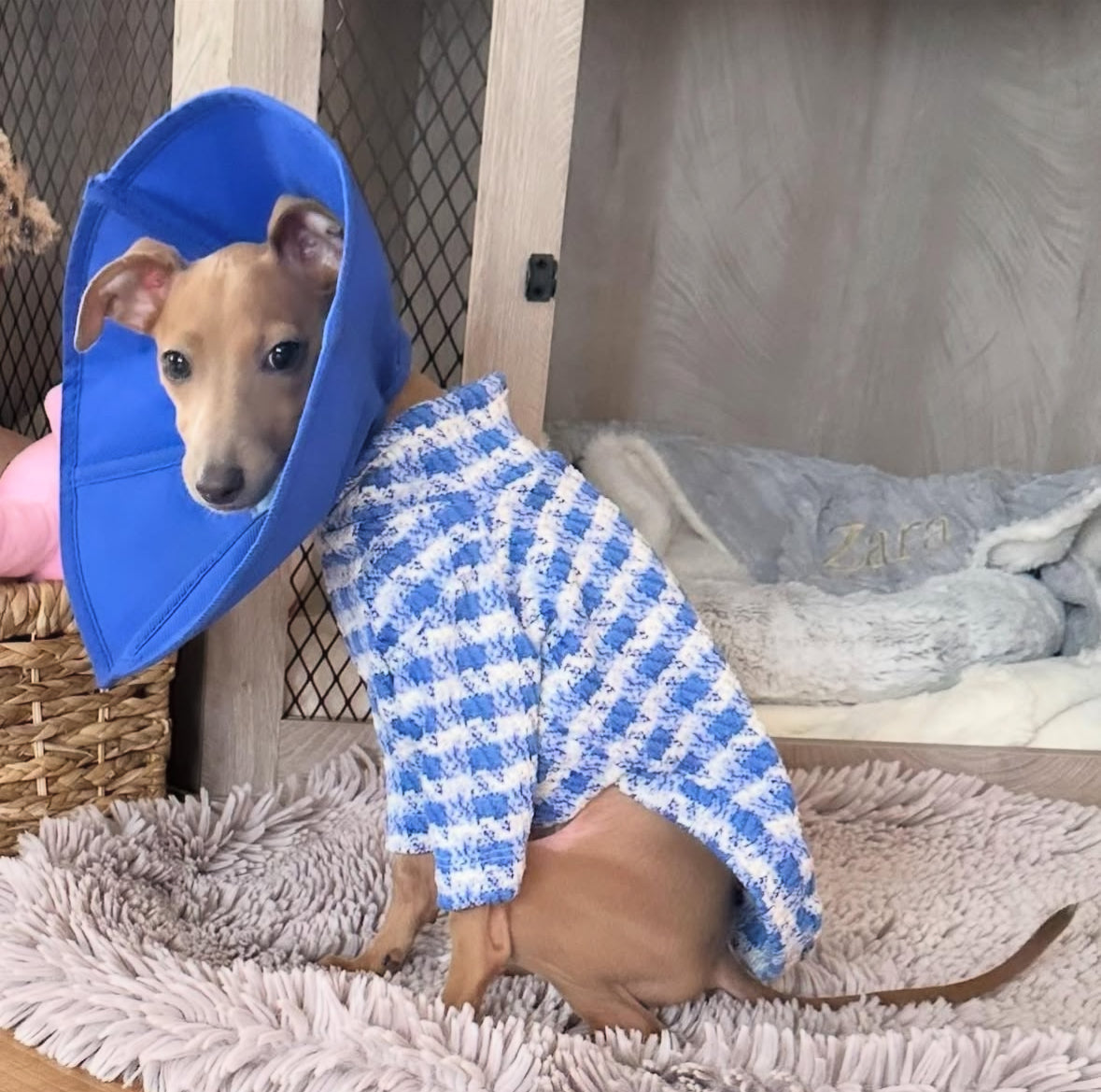 Knit Jersey Suit - Blue Chanel