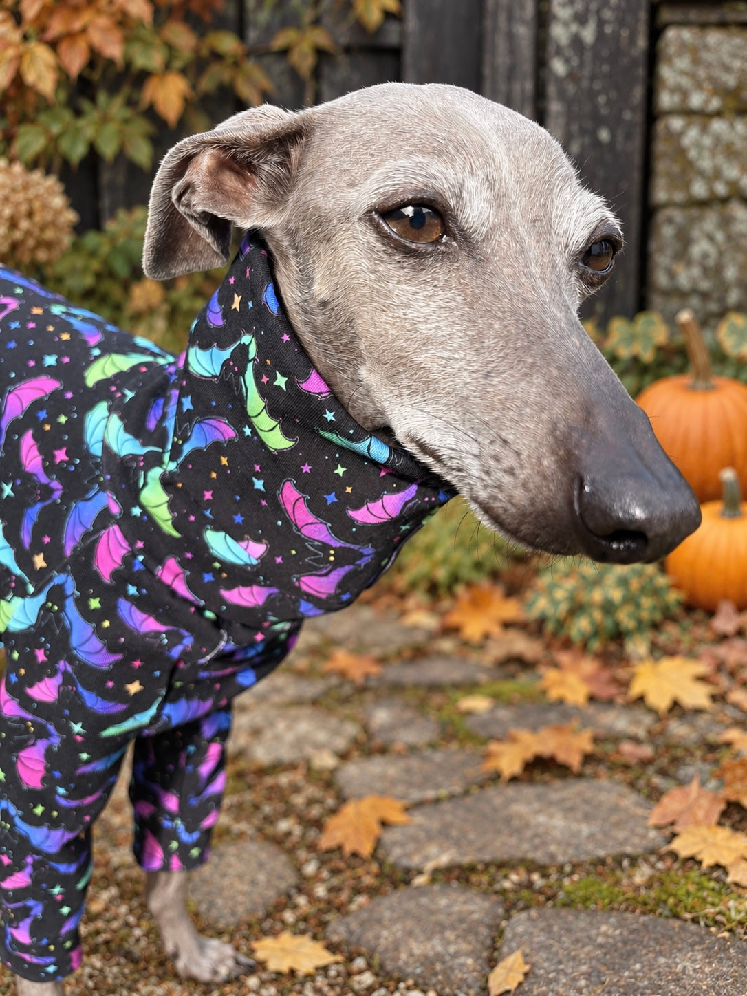 Jersey Suit - Halloween - Flapping About