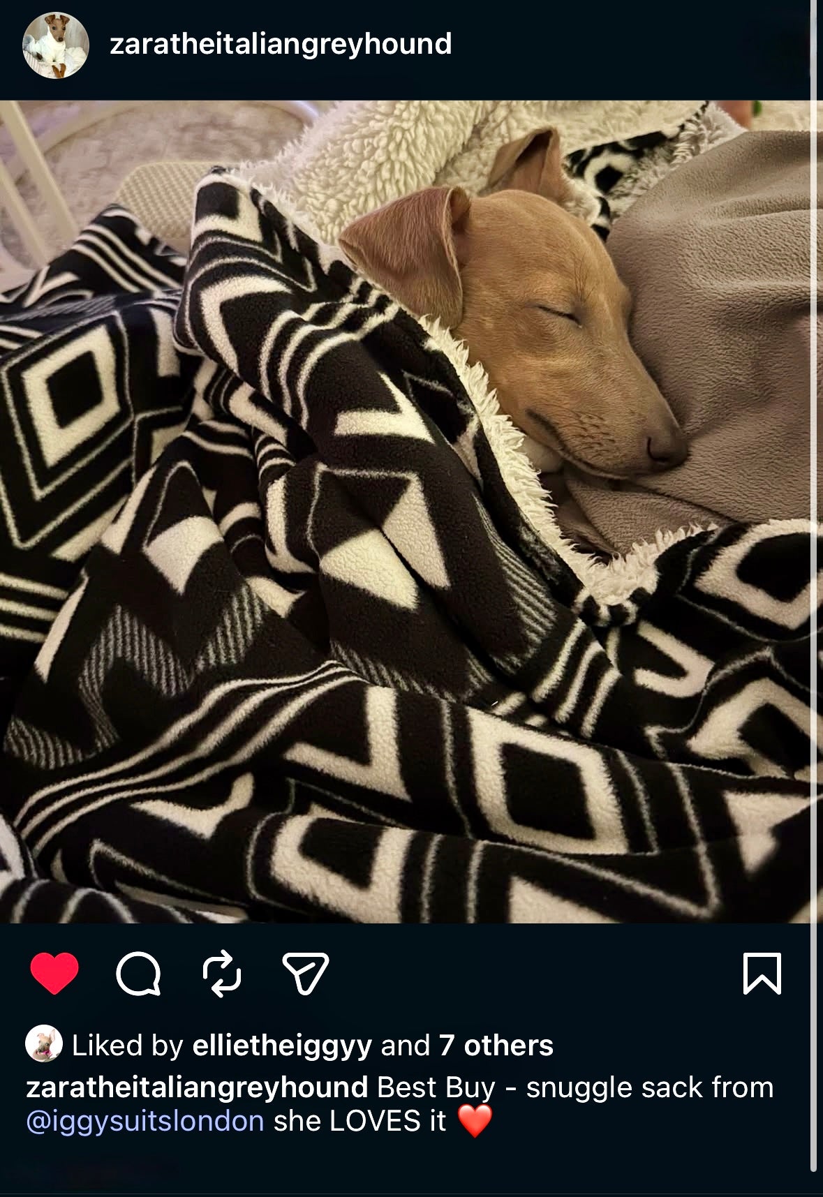 Snuggle Sack - Wild Daisies