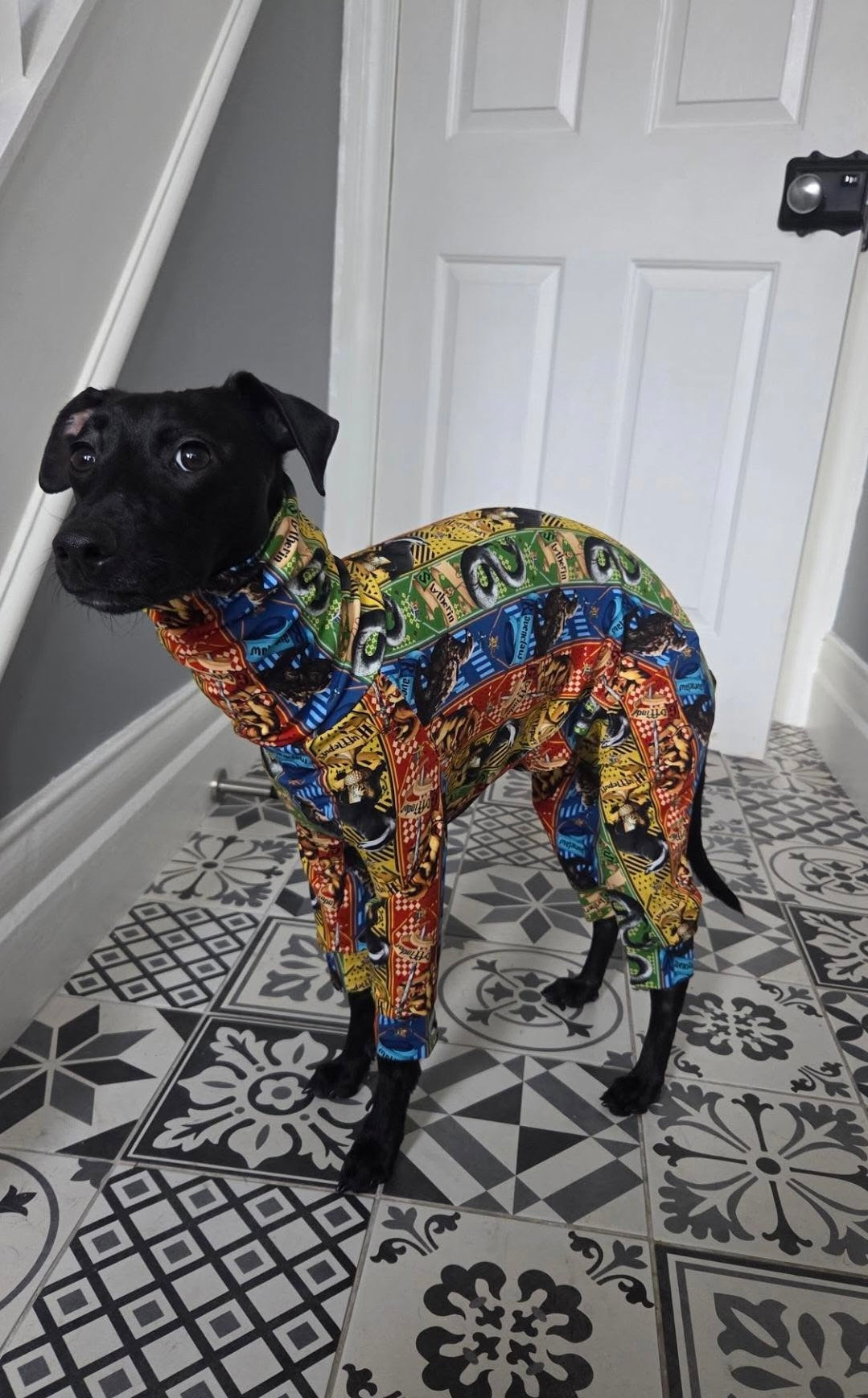 Jersey Suit - Harry Potter