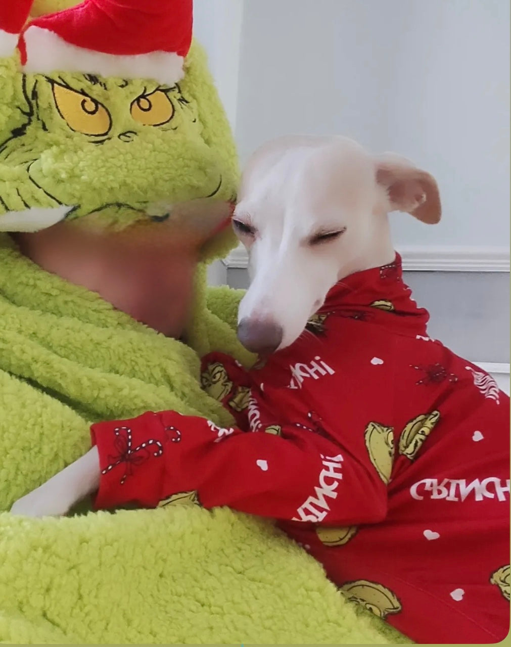 Christmas Jersey Suit - The Grinch