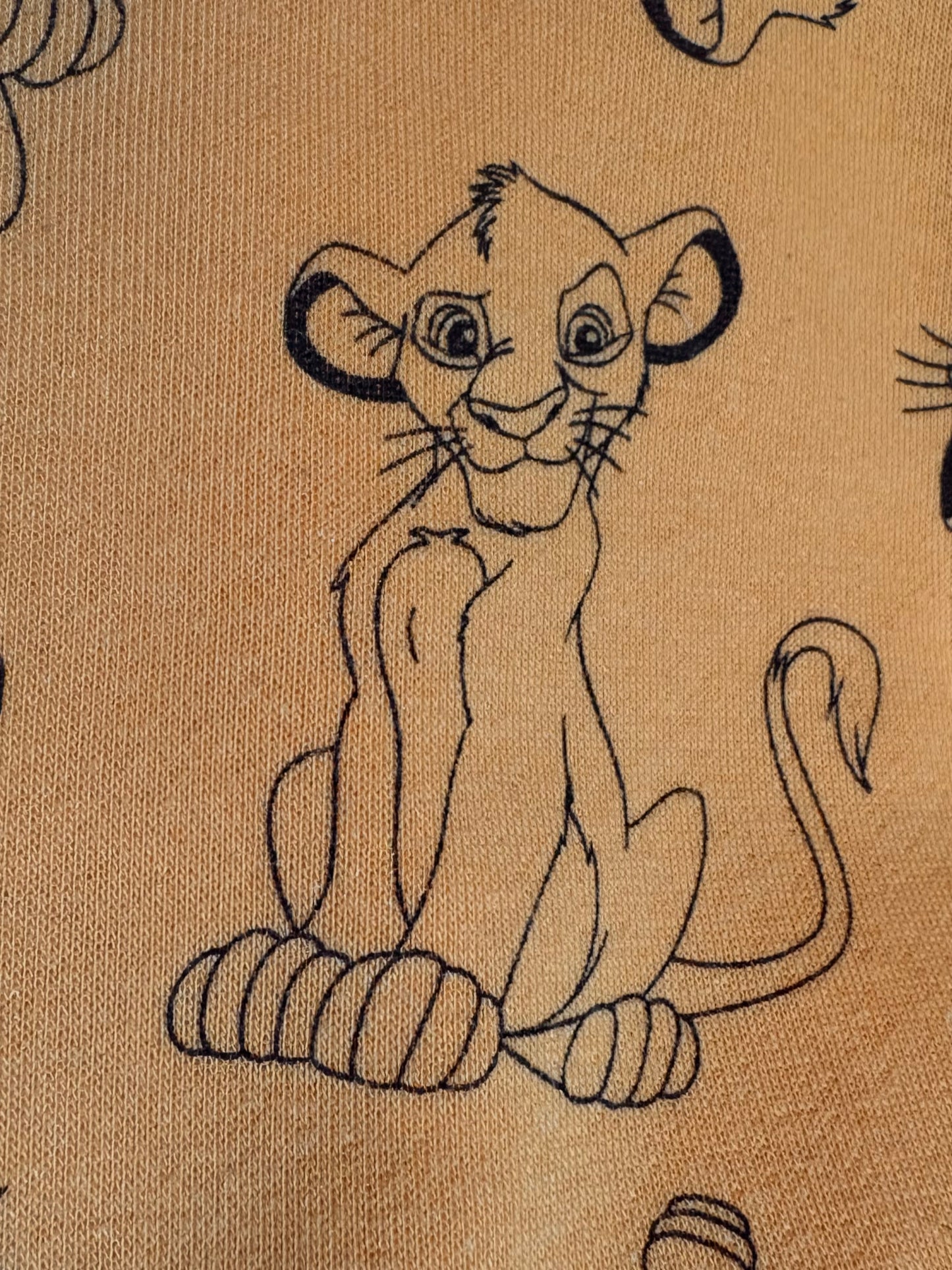 Recycled Sweatshirt Suit - Lion King