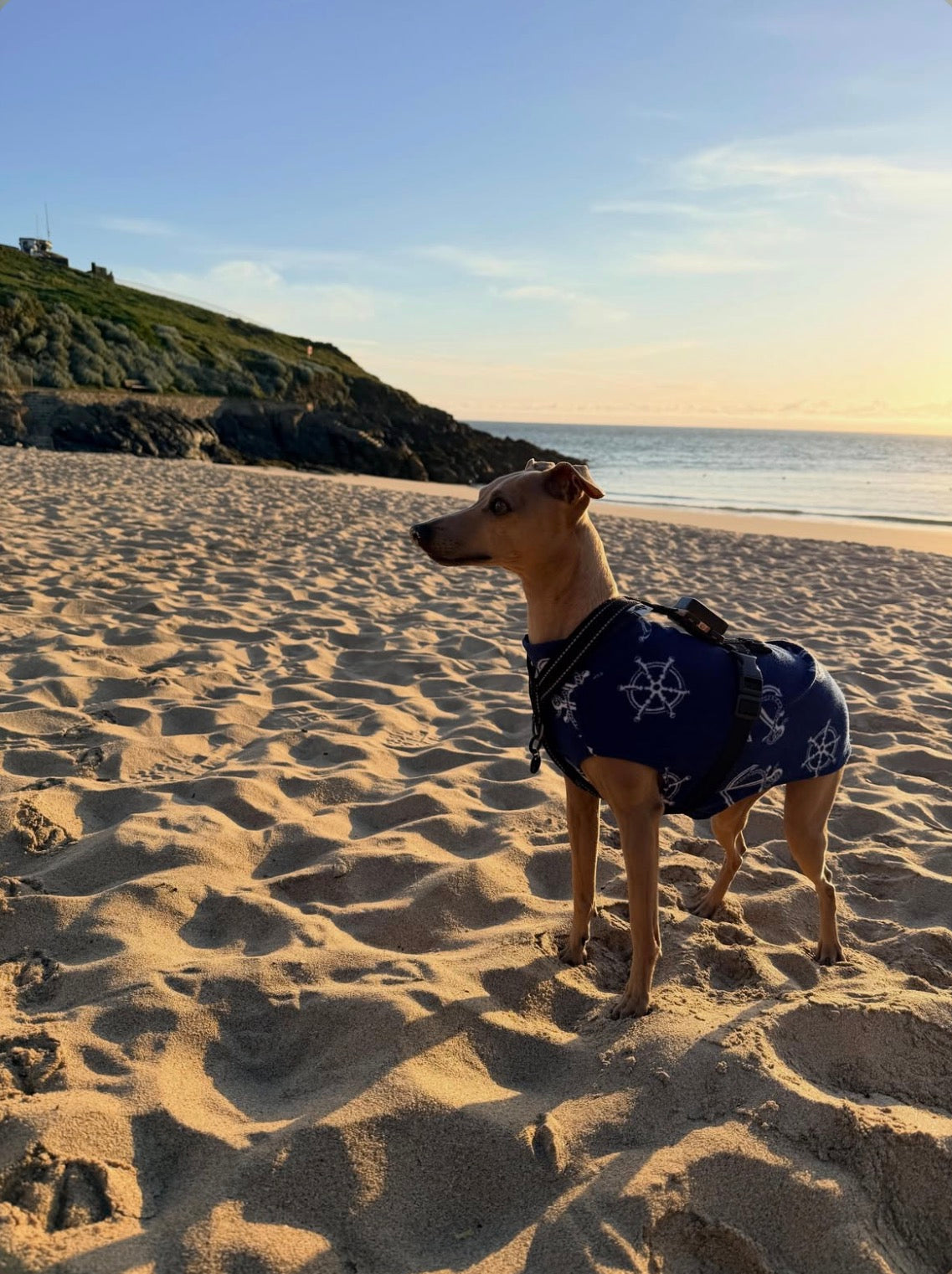 Lightweight Fleece Vest - Anchors Ahoy