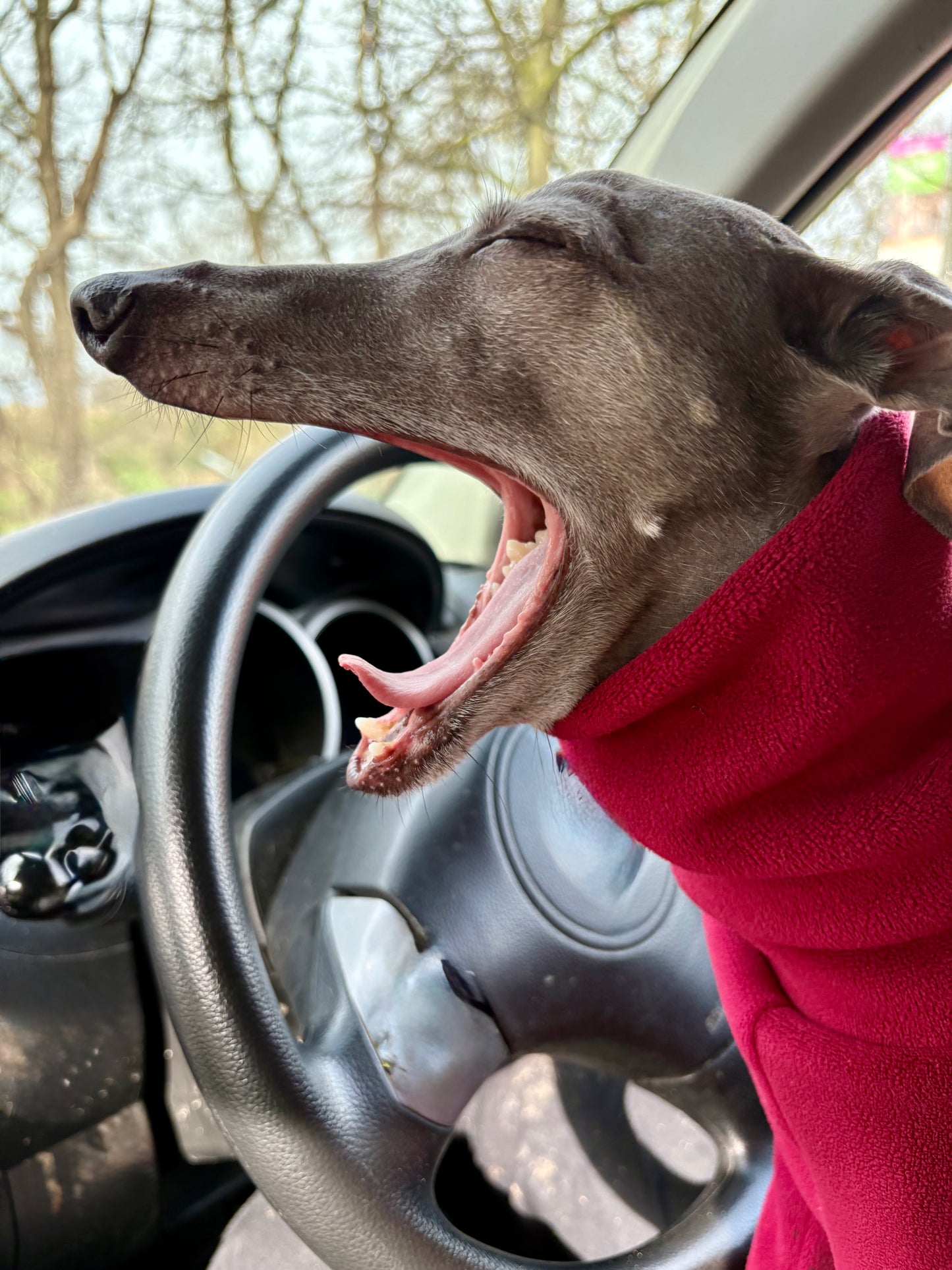 Ultra-Stretch Fleece Suit - Red