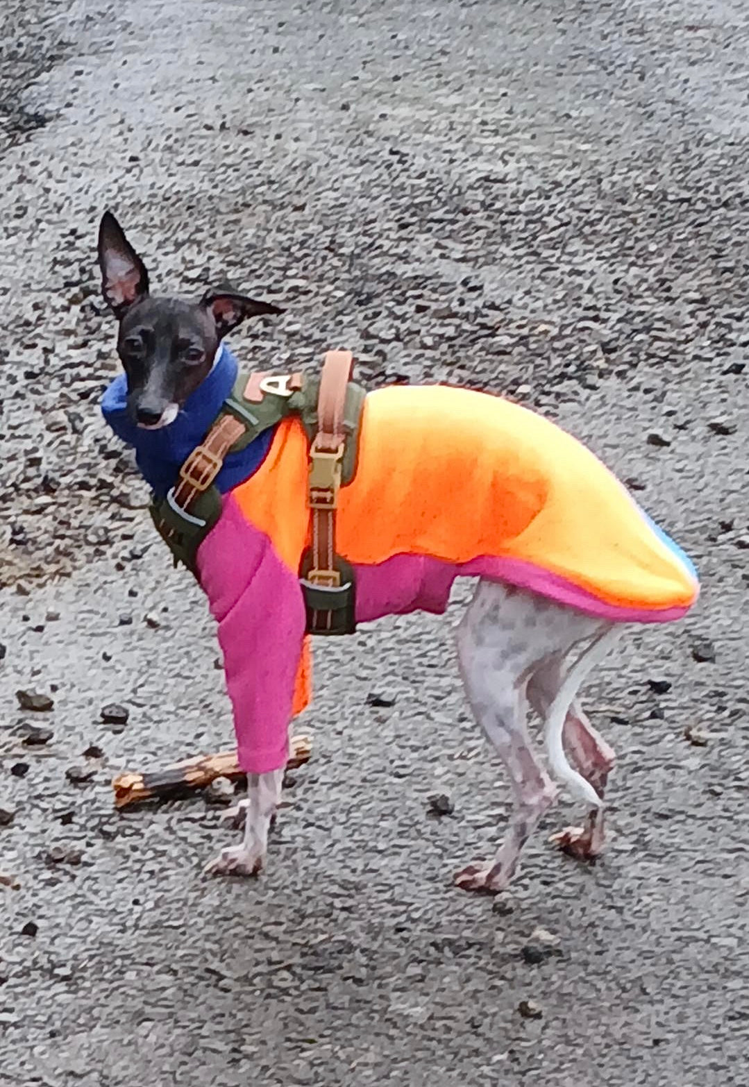 Fleece Jumper - Neon Colour Block