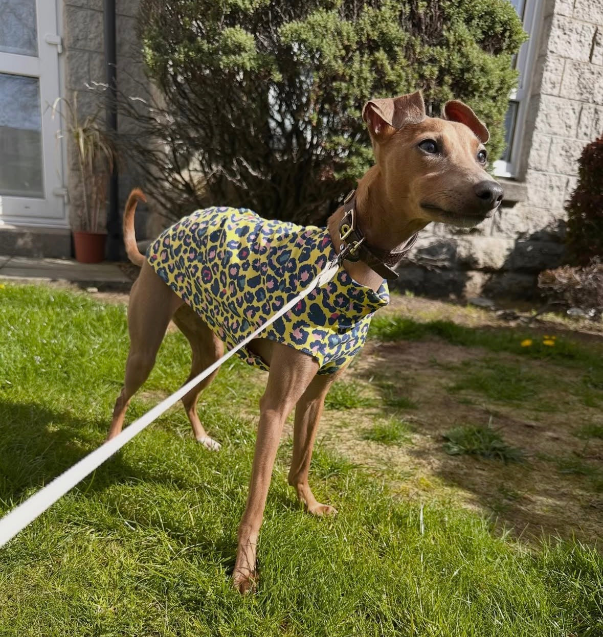 Jersey Vest - Yellow Leopard Print