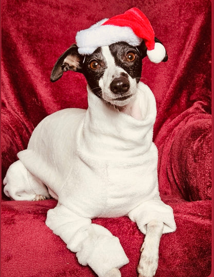 Fleece Lined Sweatshirt Suit - Stone