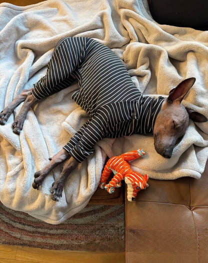 Ribbed Jersey Suit - Black & White