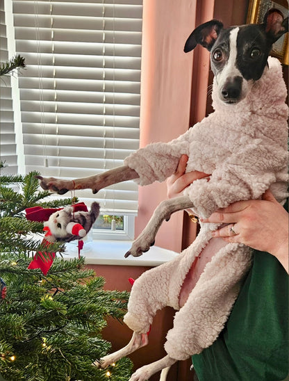 Cuddle Fur Fleece Suit - Baby Pink