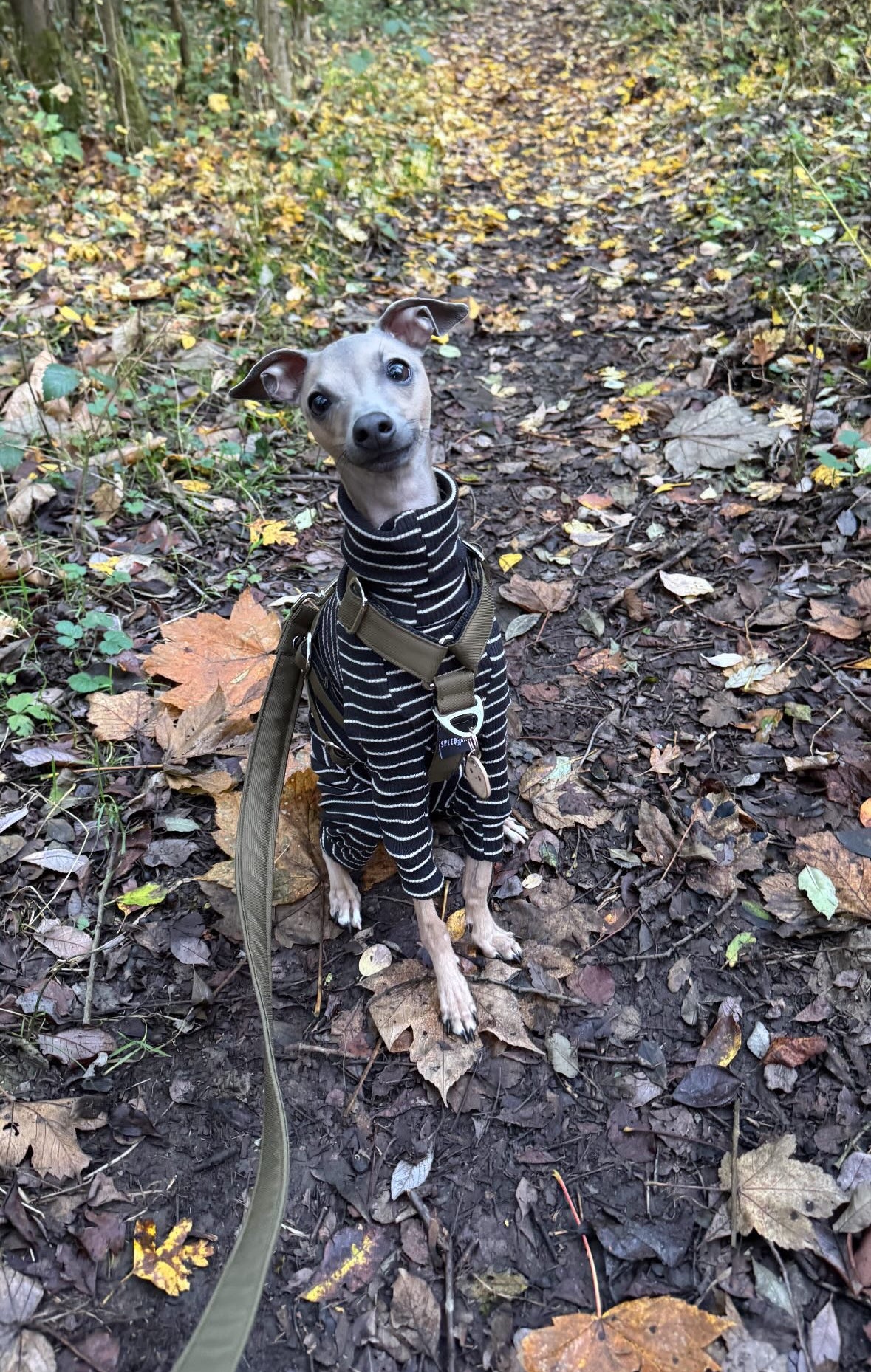 Ribbed Jersey Suit - Black & White