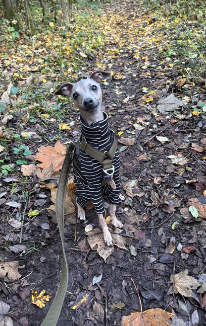 Ribbed Jersey Suit - Black & White