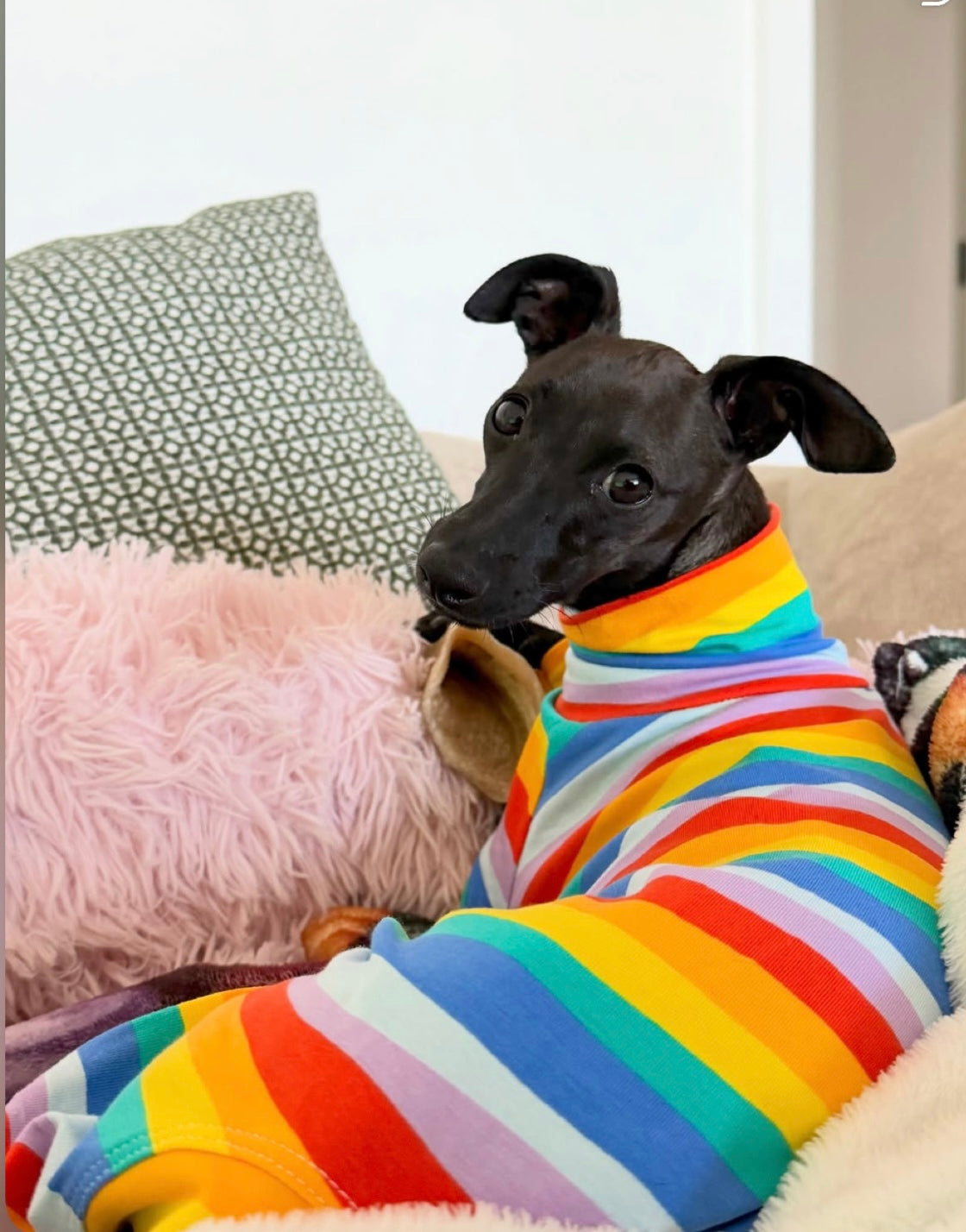 Jersey Suit - Rainbow Stripe