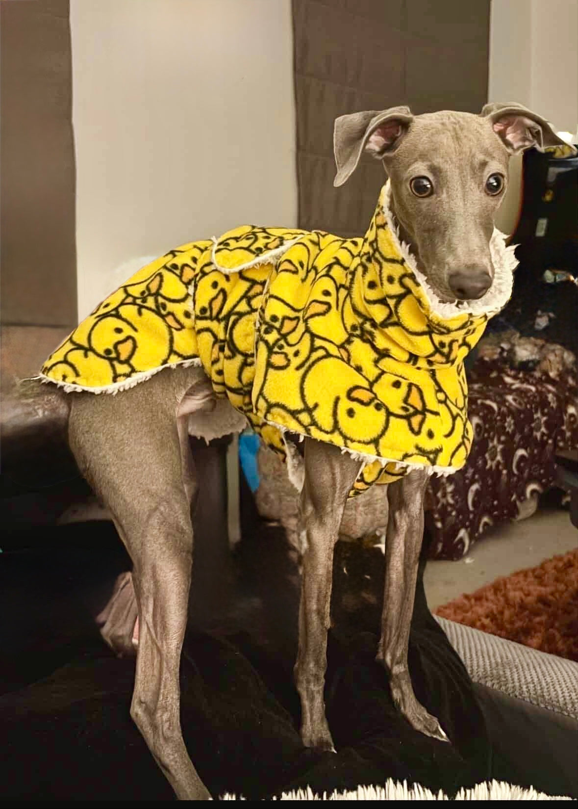 Dressing Gown - Warm Hearts