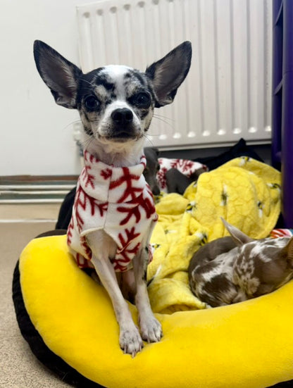 Fleece Vest - Let It Snow