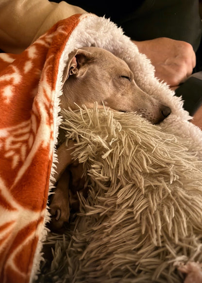 Snuggle Sack - Happy Funghi