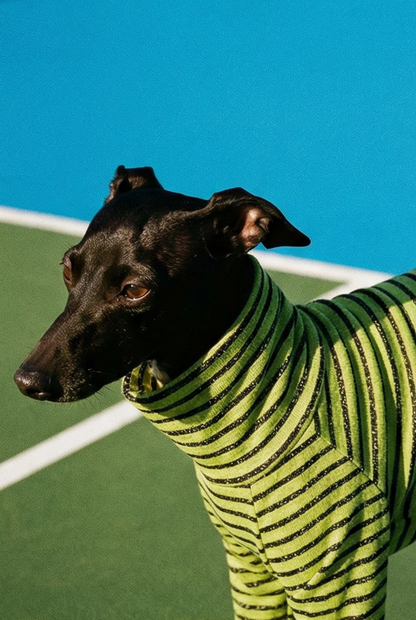 Jersey T-Shirt - Green & Black Urban Stripe