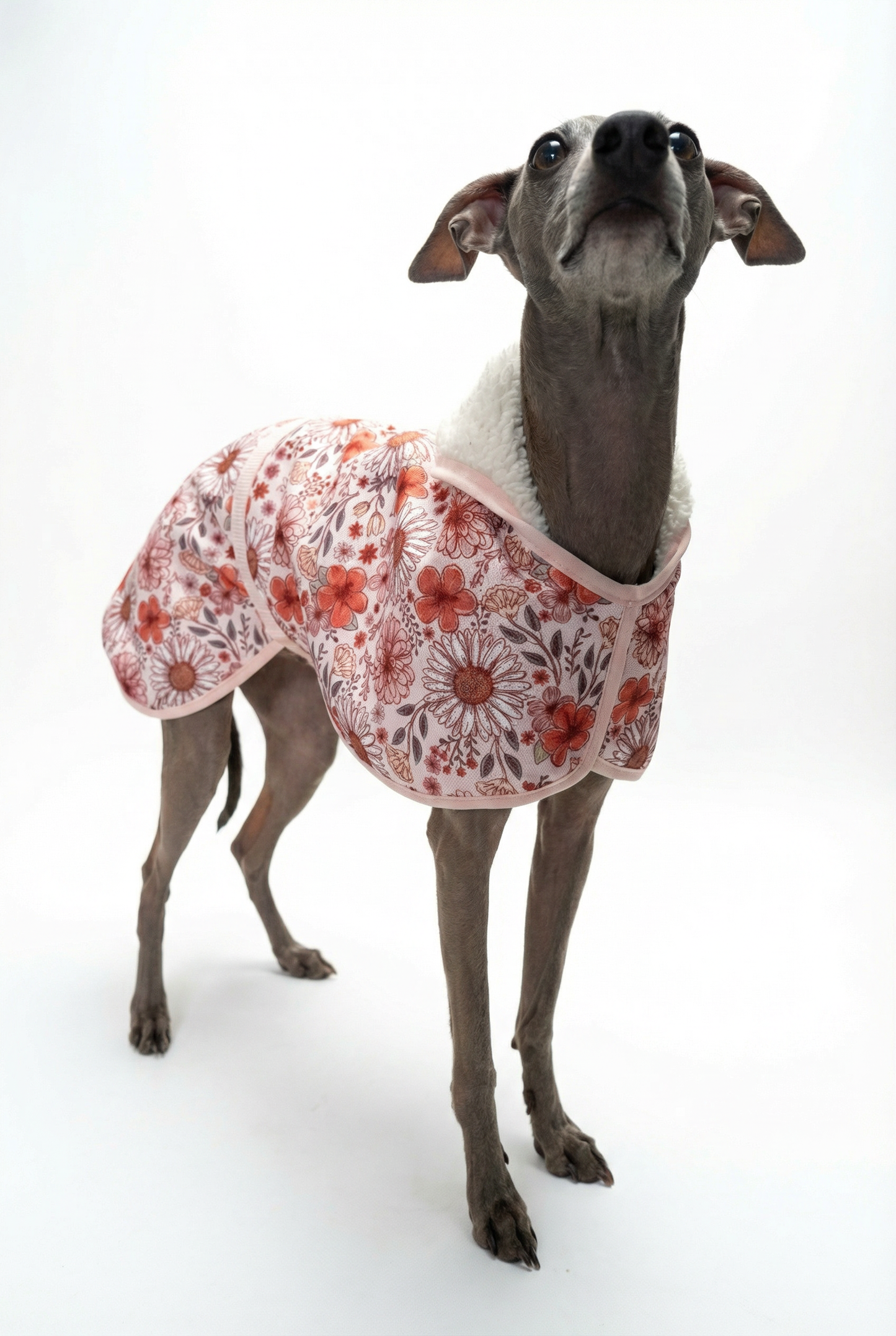 Waterproof Rain Mac - Vintage Floral
