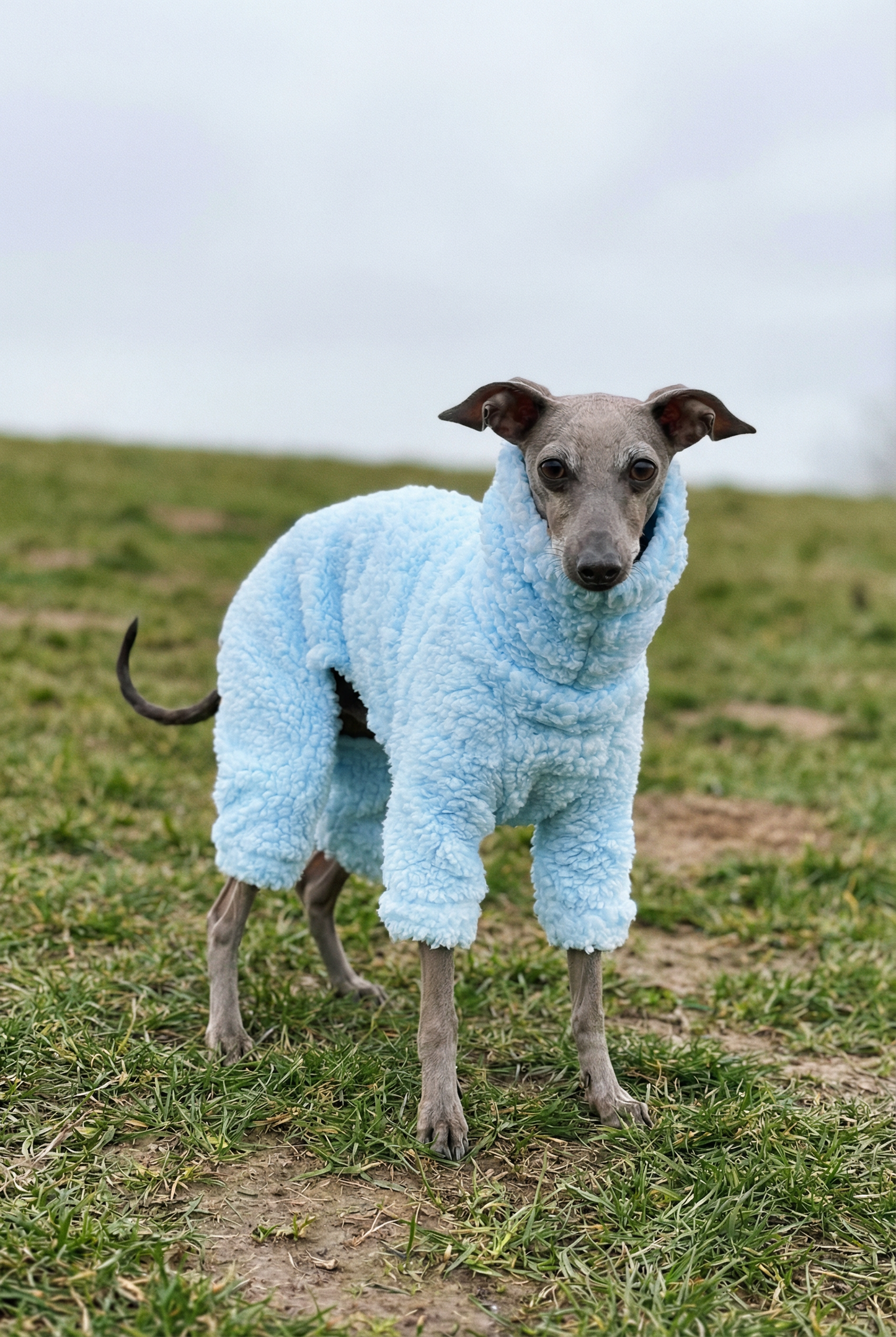 Cuddle Fur Fleece Suit - Baby Blue
