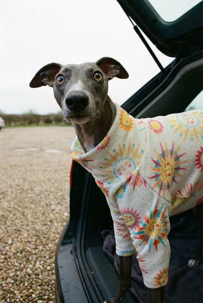 Fleece Jumper - Shine On