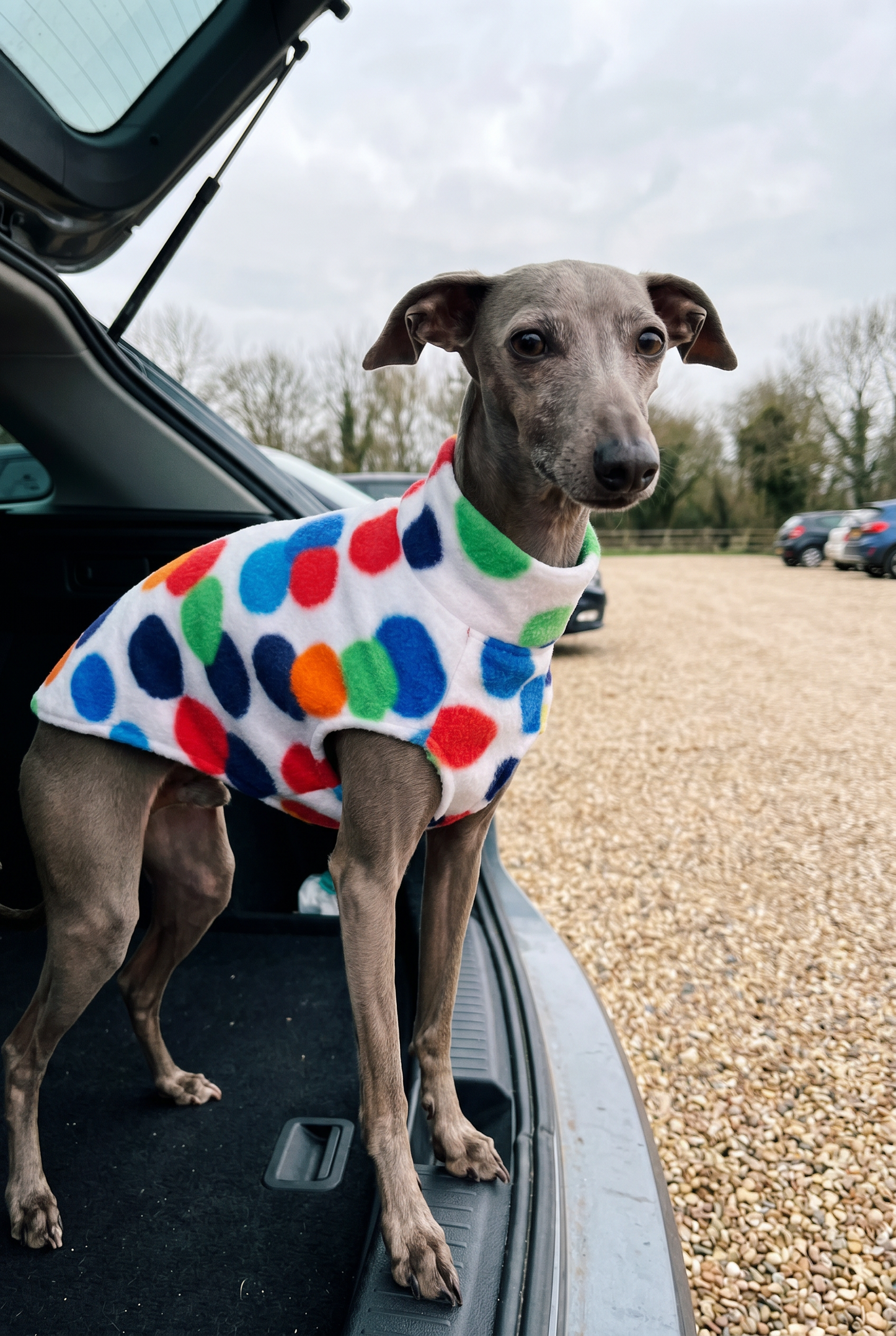 Fleece Vest - Birthday Party Vest