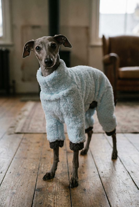 Cuddle Fur Fleece Suit - Baby Blue & Grey