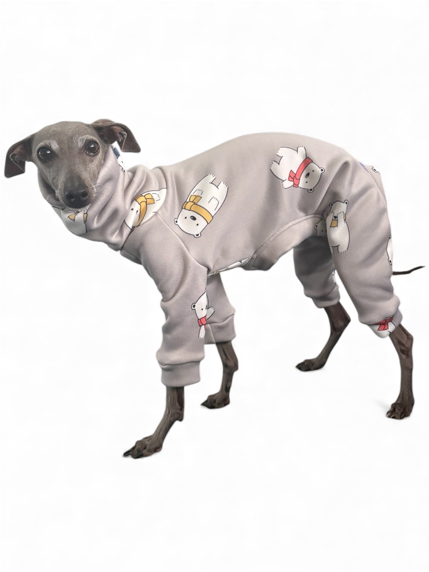 Fleece Lined Sweatshirt - Polar Bears