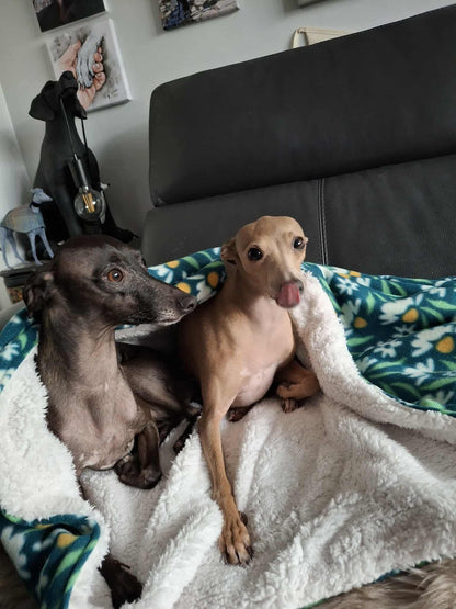 Snuggle Sack - Wild Daisies